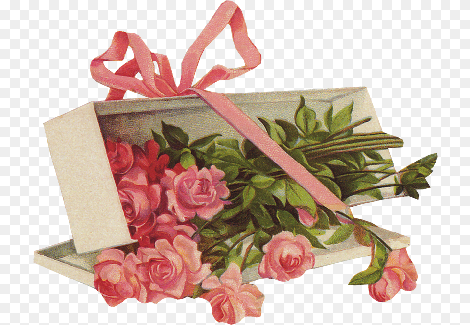 S Proshedshim Prazdnikom, Art, Floral Design, Flower, Flower Arrangement Free Png
