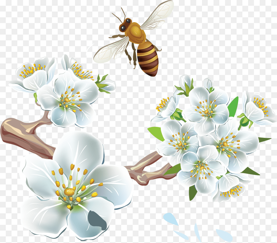 S Spring, Wasp, Animal, Pollen, Plant Free Transparent Png