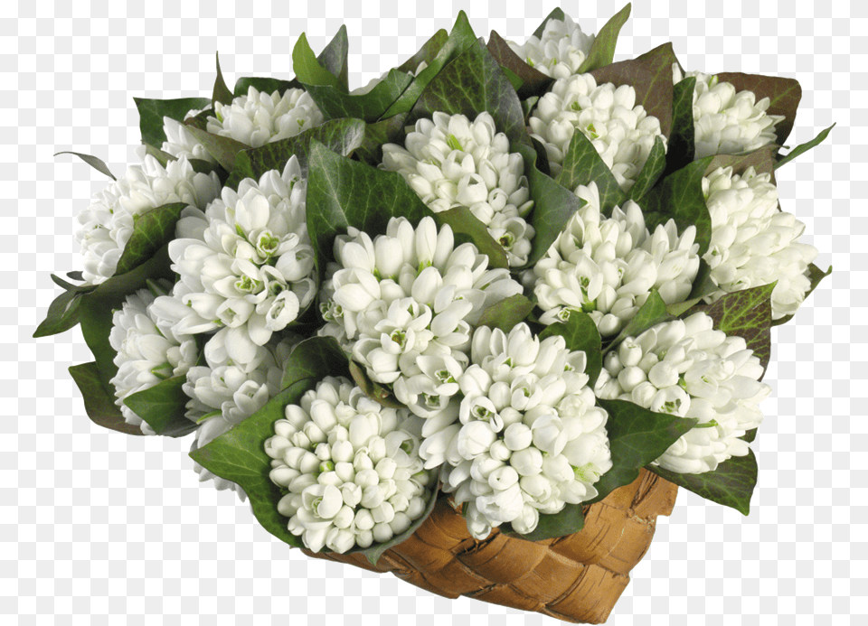 Sa Fii Femeie Nu I Usor, Flower, Flower Arrangement, Flower Bouquet, Plant Free Transparent Png