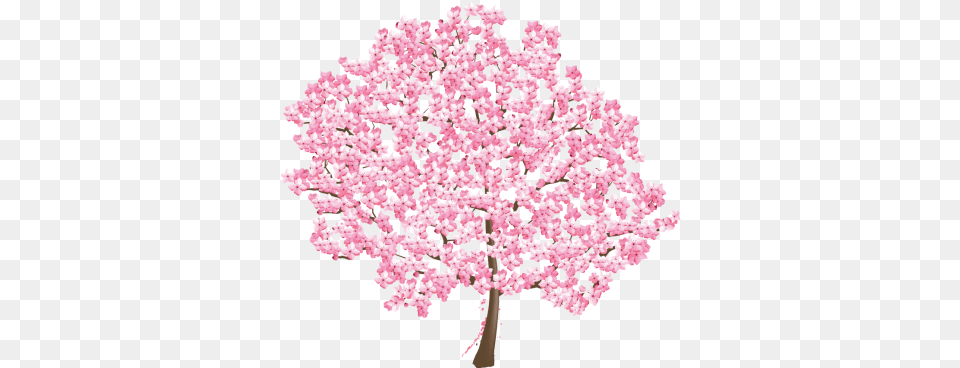Saa Tree In Full Bloom April Newsletter Cherry Blossom, Flower, Plant, Cherry Blossom, Petal Free Png Download