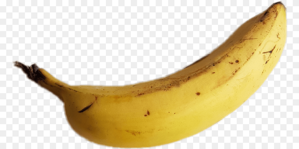 Saba Banana, Food, Fruit, Plant, Produce Free Png