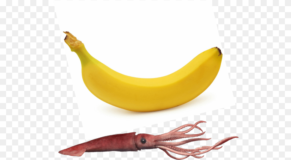 Saba Banana, Food, Fruit, Plant, Produce Free Png Download