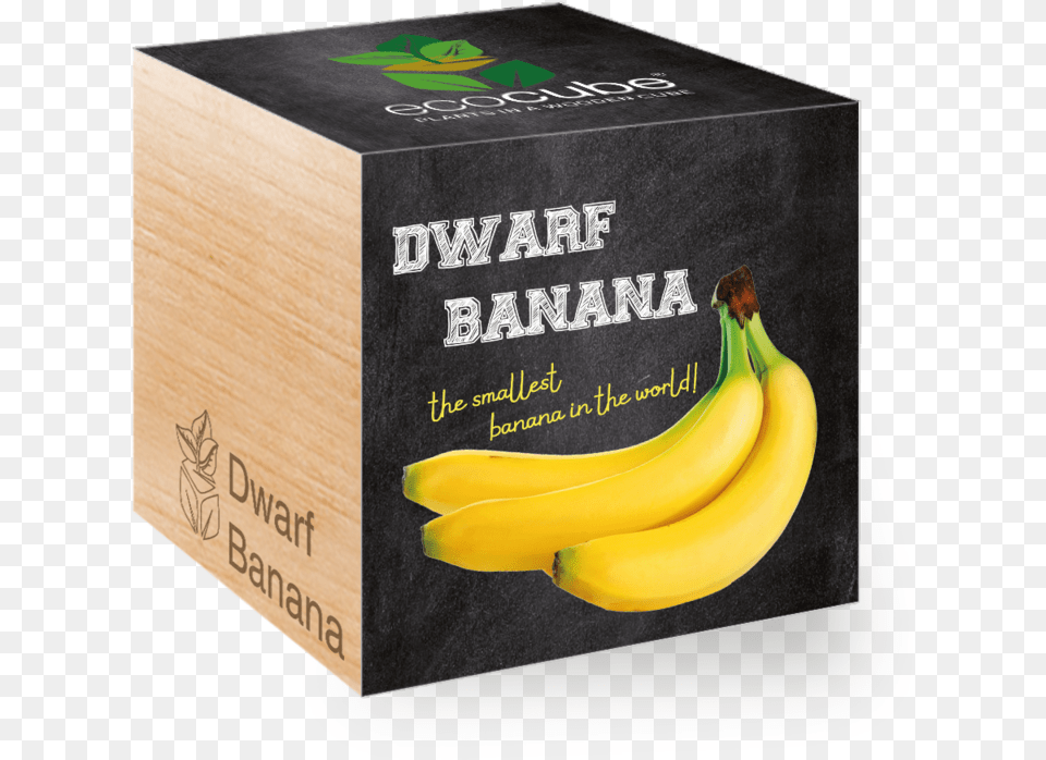 Saba Banana, Food, Fruit, Plant, Produce Png