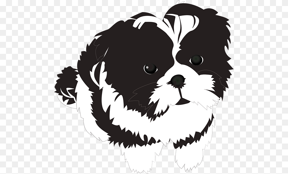 Saba Tudo Sobre Shih Tzu Funny Shih Tzu Sticker, Stencil, Animal, Canine, Mammal Free Png Download