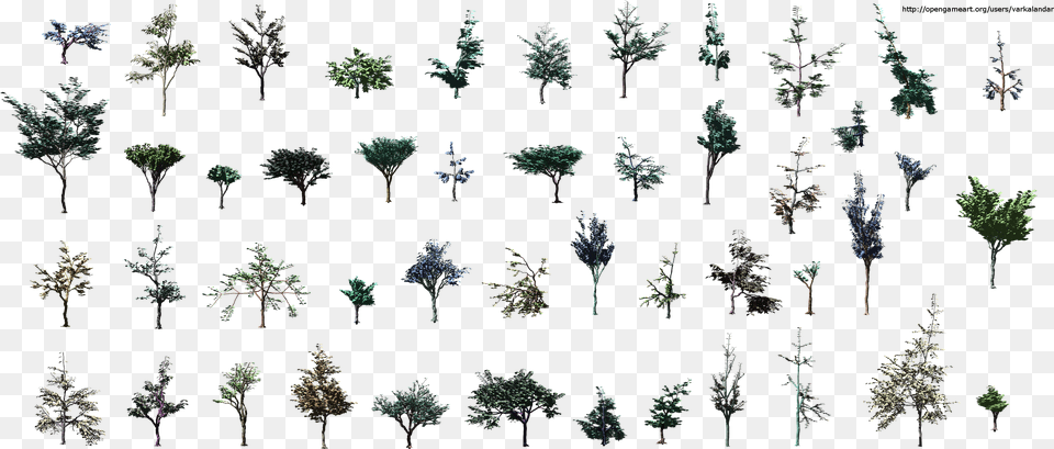 Sabal Minor, Vegetation, Tree, Plant, Woodland Png Image