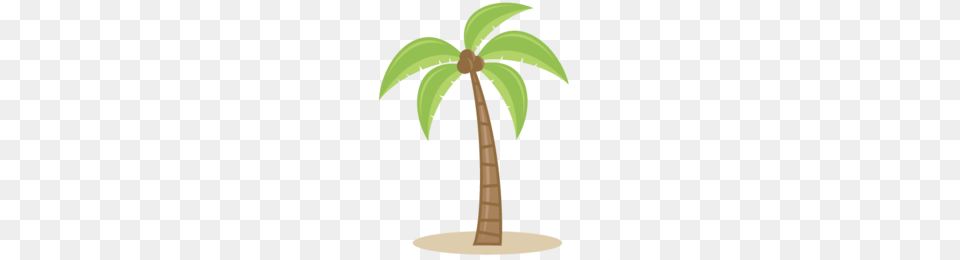 Sabal Palm Cute Clipart, Palm Tree, Plant, Tree Free Png