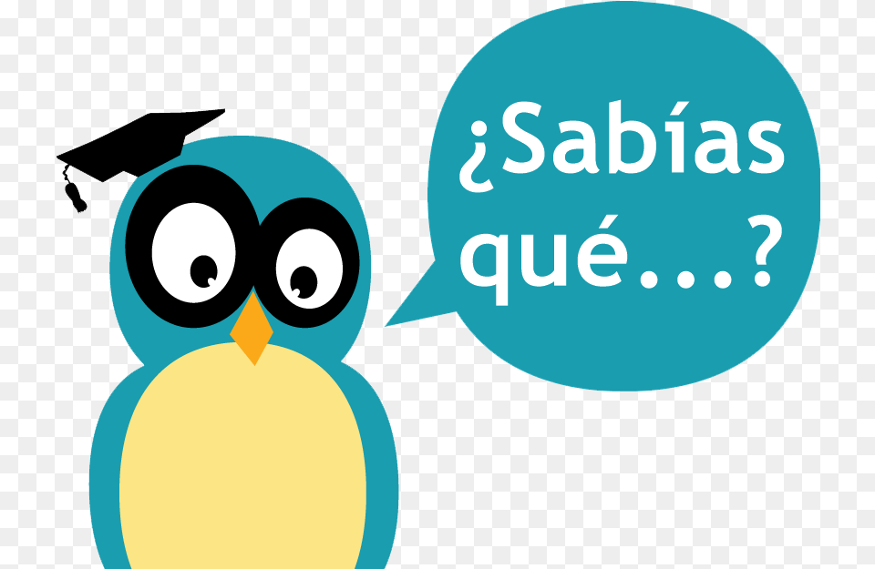 Sabas Qu Cartoon, Animal, Bird, Jay Free Png