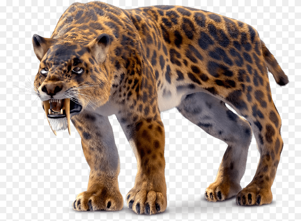 Saber Tooth Tiger, Animal, Mammal, Panther, Wildlife Free Transparent Png