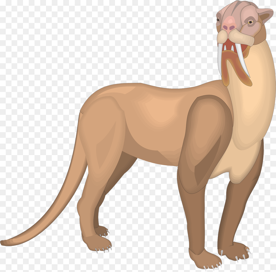 Saber Tooth Tiger Clipart, Animal, Kangaroo, Mammal, Wildlife Free Png Download