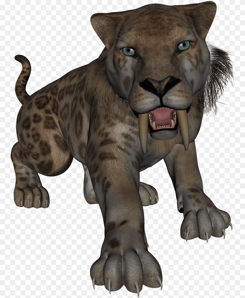 Saber Toothed Tiger Saber Tooth Tiger Saber Tooth Tiger Stone Age Animals, Electronics, Hardware, Animal, Canine Free Png Download