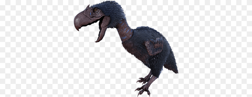 Sabertooth Dododex Ark Survival Evolved Ark Terror Bird, Animal, Vulture, Dodo Png