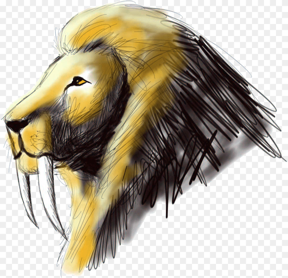Sabertooth Lion Sketch By Dweran D5fa2d8 Saber Tooth Lion Drawings, Electronics, Hardware, Animal, Wildlife Free Png