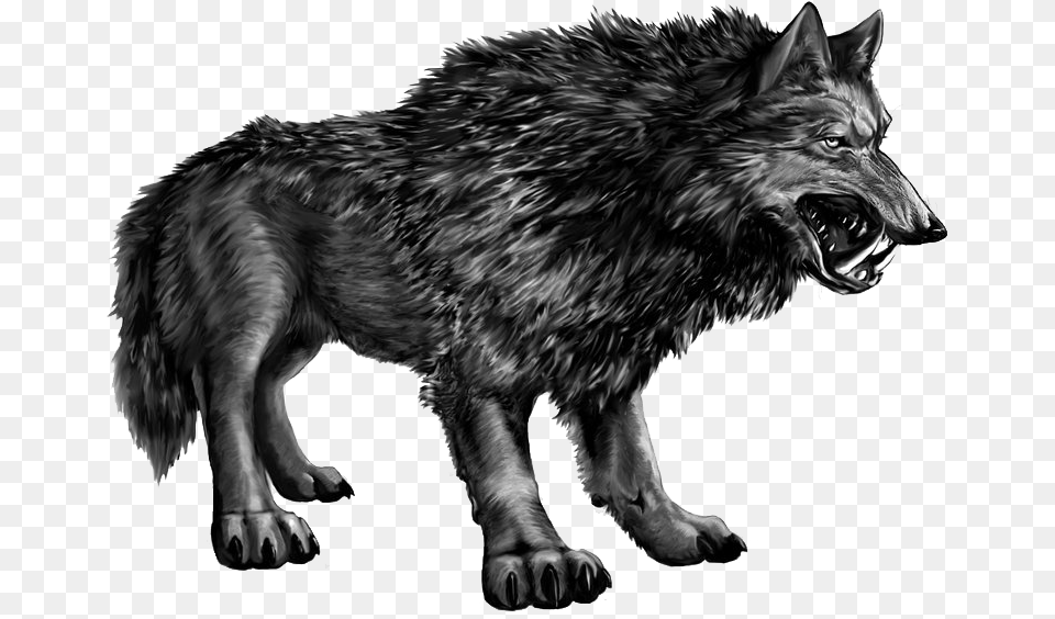 Saberwolf Alaska, Animal, Mammal, Wolf, Canine Png