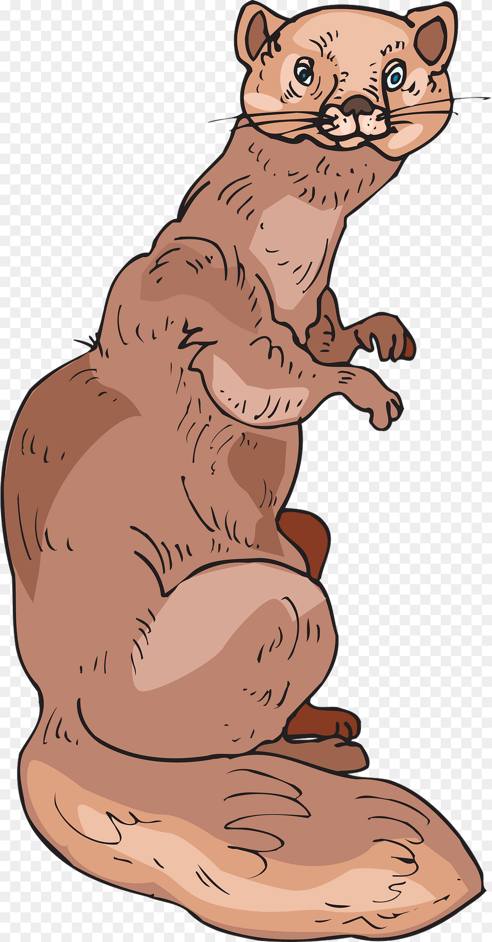 Sable Clipart, Animal, Mammal, Baby, Person Png