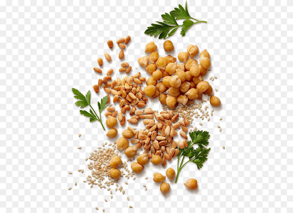 Sabra Story Pine Nuts Transparent, Herbs, Plant, Bean, Food Free Png Download