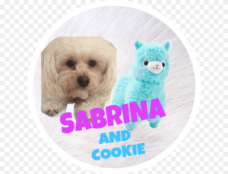 Sabrina Cookies Dog Icon Plushie Freetoedit Radiation Symbol, Animal, Canine, Mammal, Pet Png Image