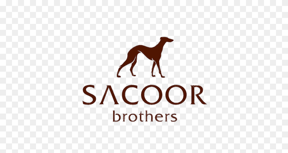 Sacoor Brothers Logo, Animal, Camel, Mammal, Canine Free Png