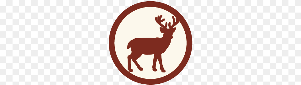Sacred Fire Foundation, Animal, Deer, Mammal, Wildlife Free Transparent Png
