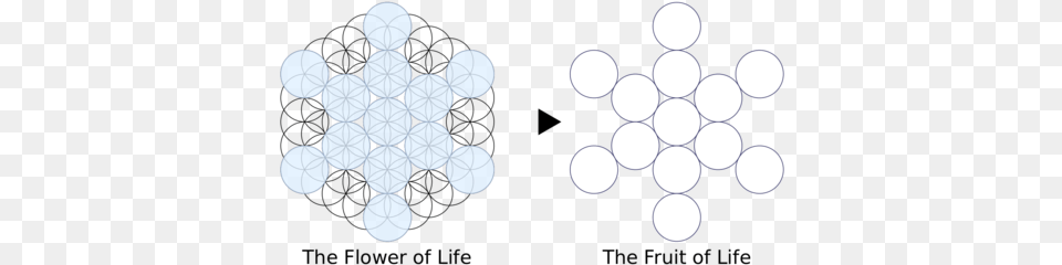 Sacred Geometry And The Flower Of Life Fruit Of Life, Lighting, Nature, Outdoors, Night Png