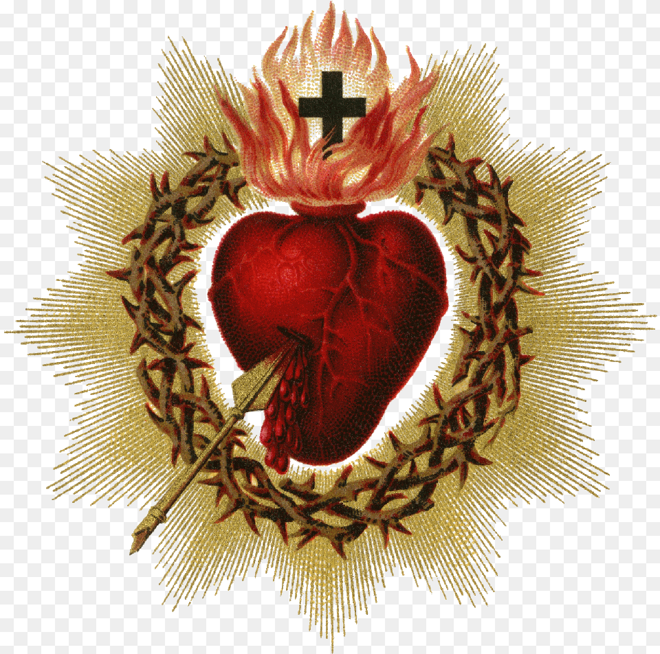 Sacred Heart Of Jesus, Plant, Symbol, Emblem, Pattern Free Transparent Png