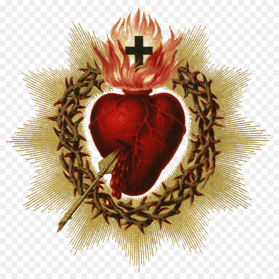 Sacred Heart Pictures Catholic Sacred Heart Of Jesus, Symbol, Plant, Flower, Rose Free Png Download