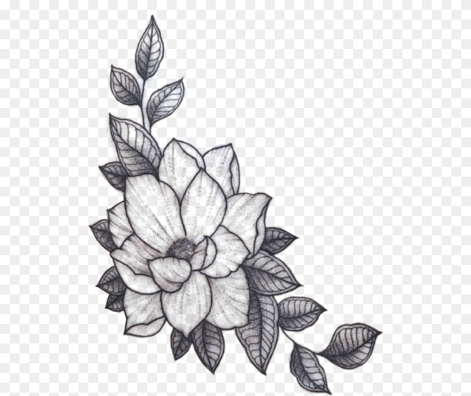 Sacred Lotus, Accessories, Art, Floral Design, Graphics Png Image