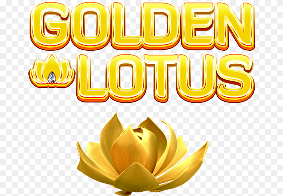 Sacred Lotus, Flower, Petal, Plant Free Transparent Png