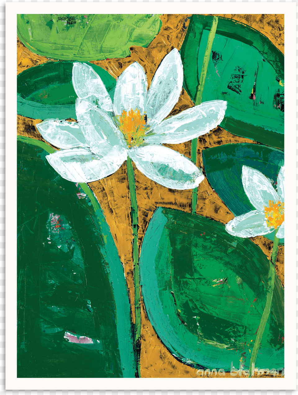 Sacred Lotus, Anemone, Art, Flower, Modern Art Png