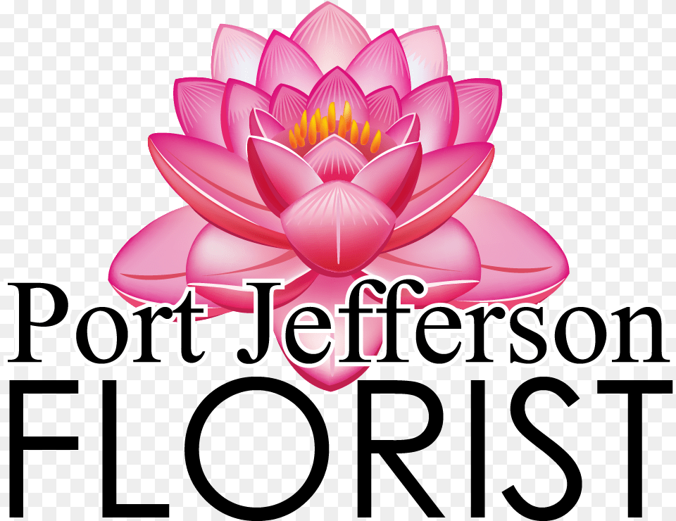 Sacred Lotus Hellyer, Dahlia, Flower, Plant, Lily Free Transparent Png