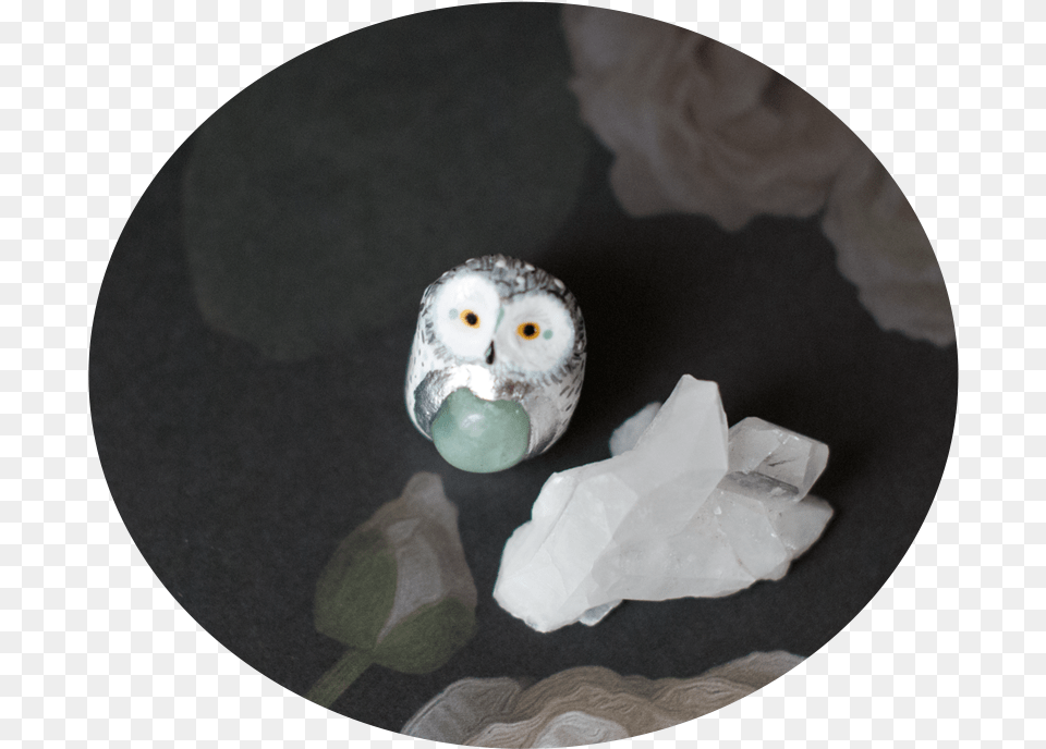 Sacred Snowy Owl Talisman, Sphere, Animal, Bird, Crystal Free Png