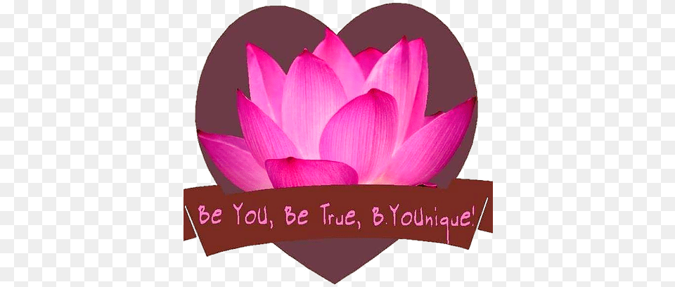 Sacred Space Byounique Soulistic Healing Center Sacred Lotus, Dahlia, Flower, Petal, Plant Free Png