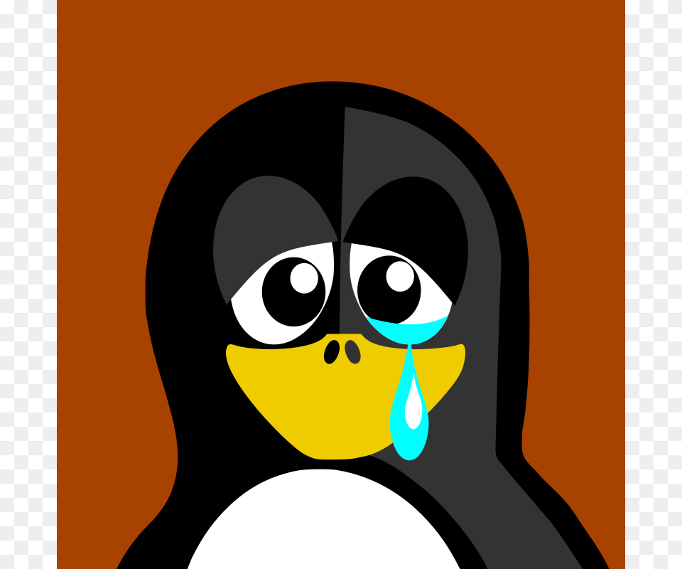 Sad, Animal, Bird, Penguin, Adult Free Transparent Png