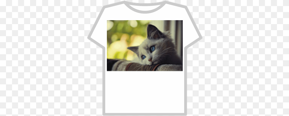 Sad Cat Roblox U Not Talk To Me Wh6 Memes, Clothing, T-shirt, Animal, Kitten Free Png Download