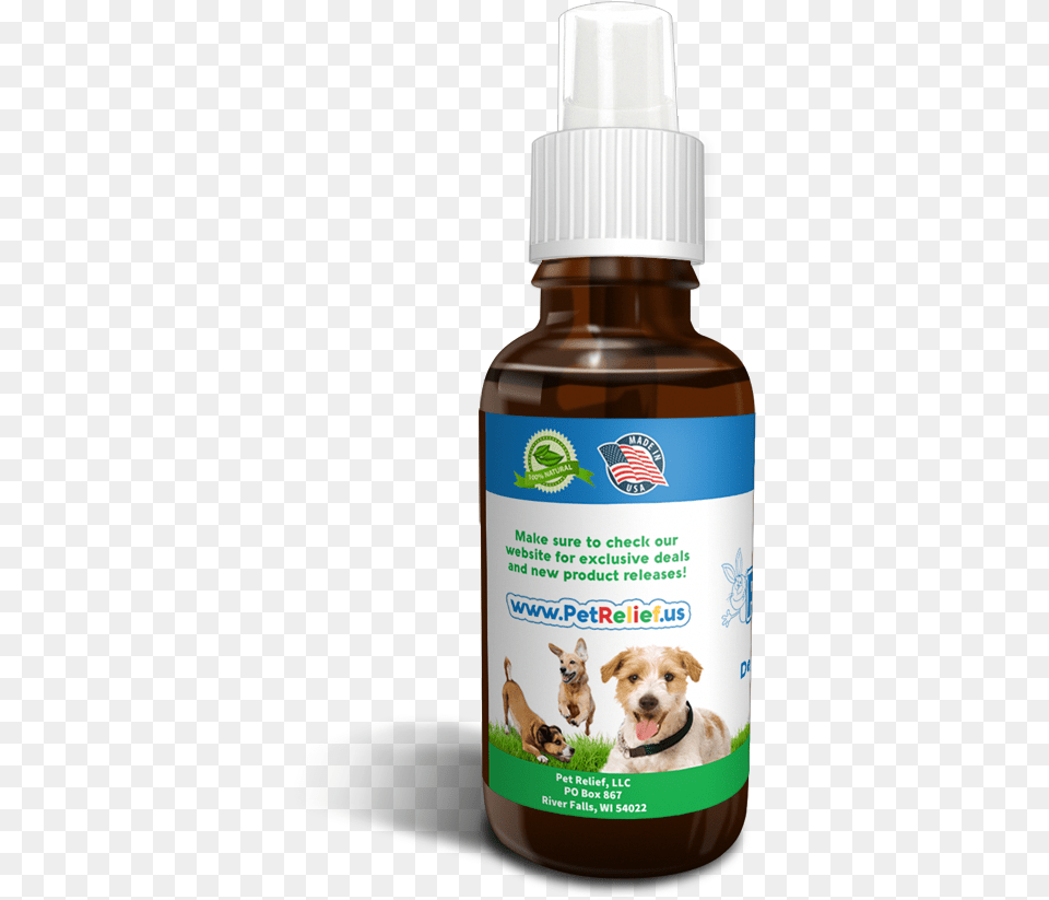 Sad Dog Companion Dog, Herbs, Plant, Herbal, Pet Free Transparent Png