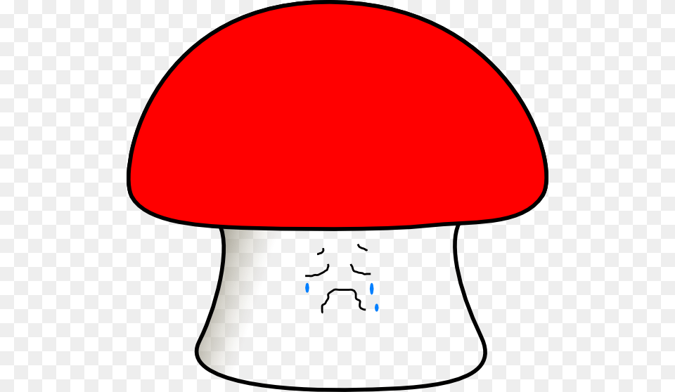 Sad Mushrooms, Lamp, Fungus, Mushroom, Plant Png