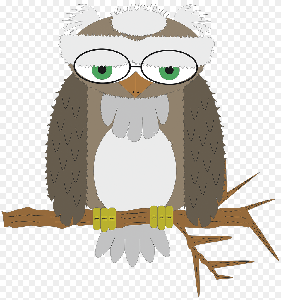 Sad Owl Clipart, Animal, Bird, Eagle, Baby Free Png