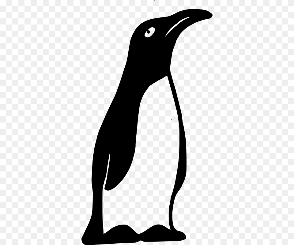 Sad Penguin, Gray Free Png Download