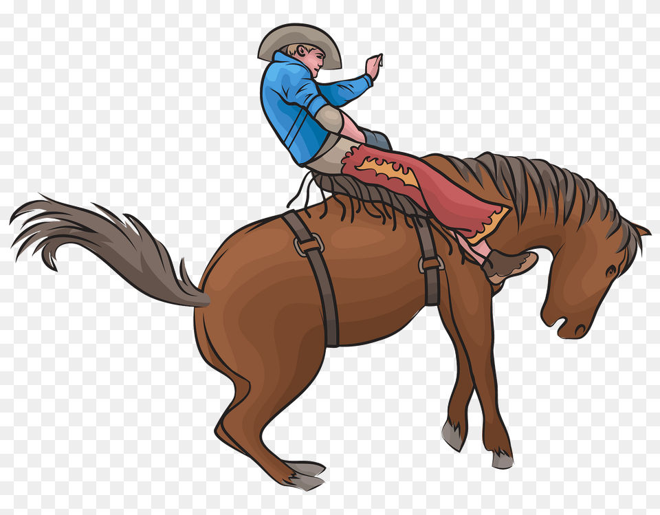 Saddle Bronc Rodeo Clipart, Animal, Kangaroo, Mammal Png Image