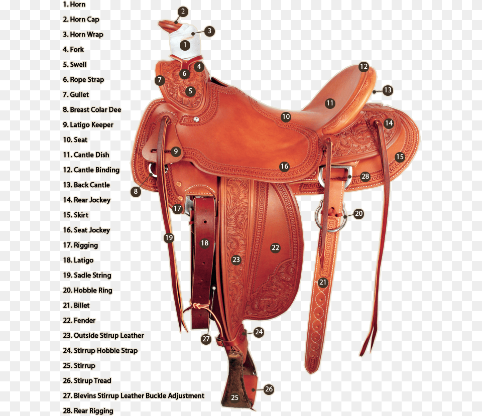 Saddle Making, Animal, Canine, Dog, Mammal Free Transparent Png