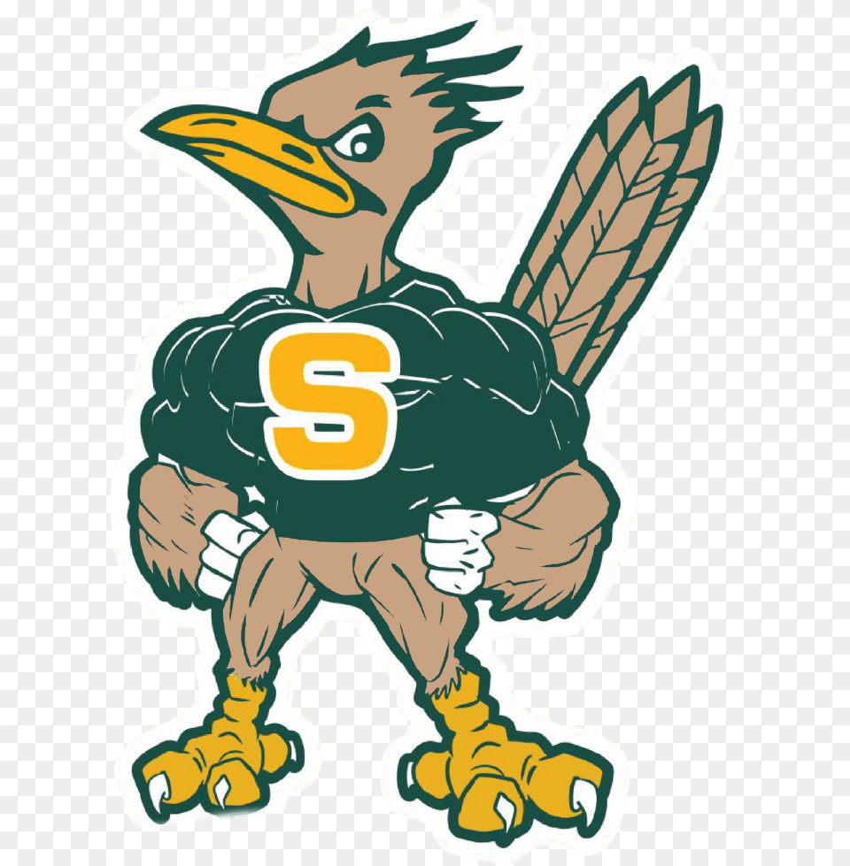 Saddleback High School Mascot, Animal, Beak, Bird, Baby Free Transparent Png