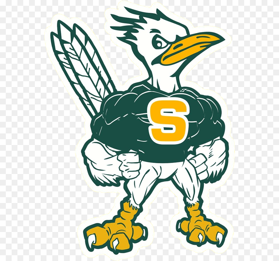 Saddleback High School Overview, Animal, Beak, Bird, Baby Png Image
