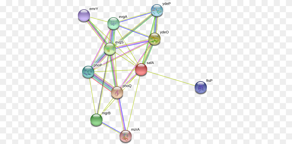 Safa Protein Circle, Network, Nature, Night, Outdoors Free Png