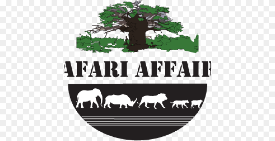 Safari Affairs Not Park Here Signs, Tree, Plant, Animal, Pig Png