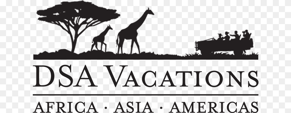 Safari Animals, Animal, Giraffe, Mammal, Wildlife Free Transparent Png