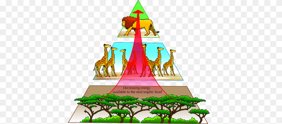 Safari Clipart Grassland Ecosystem, Triangle, Animal, Giraffe, Mammal Png