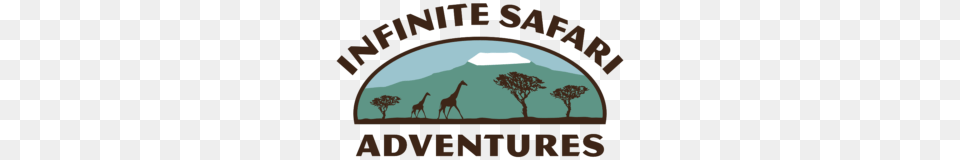 Safari Small Red, Animal, Giraffe, Mammal, Wildlife Free Transparent Png