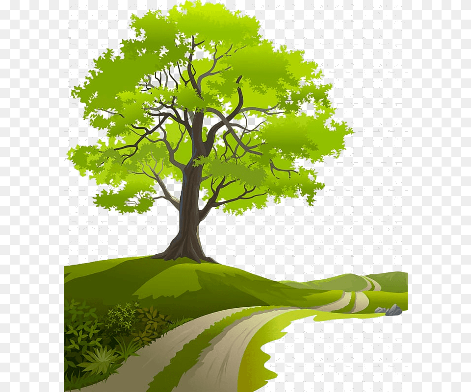 Safari Trees Green Tree Beside Road Painting Art Desktop, Oak, Plant, Sycamore, Vegetation Png Image
