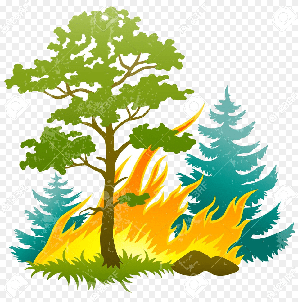 Safari Trees Jungle Encode Clipart To Base And Forest Fire Clipart, Plant, Tree, Conifer, Vegetation Png Image