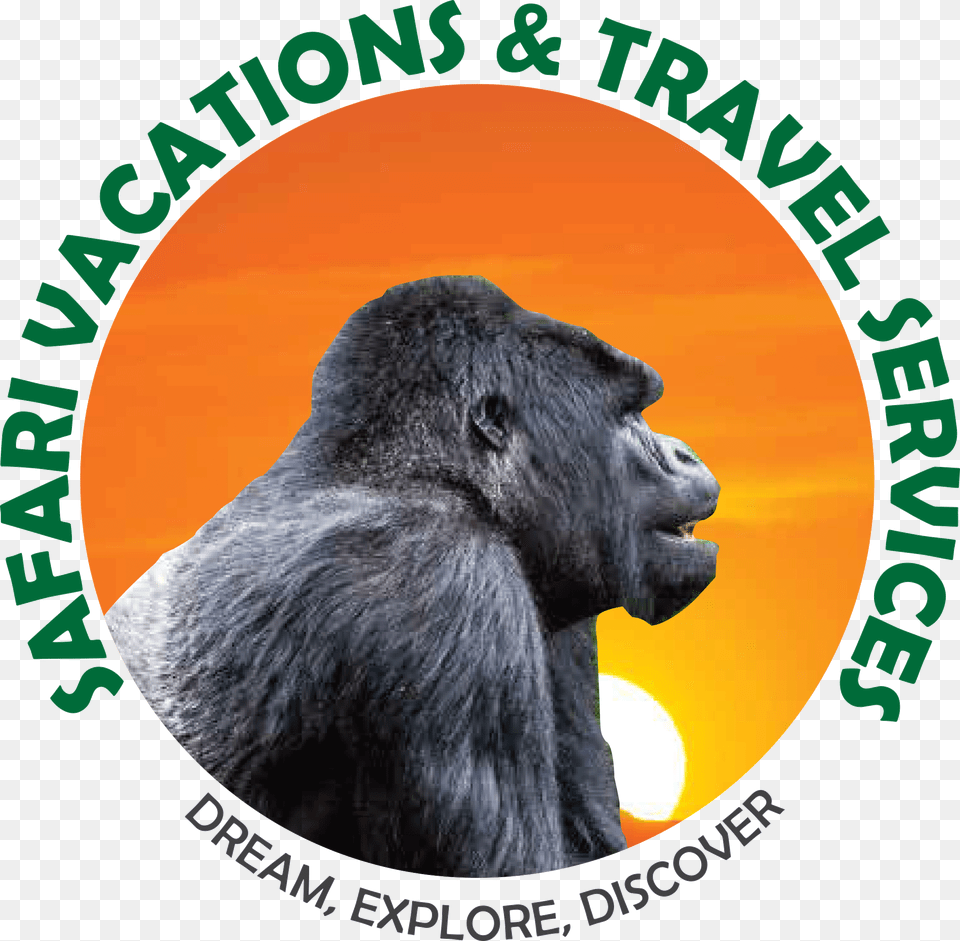 Safari Vacations Amp Travel Services Ingenieria Mecatronica, Animal, Ape, Mammal, Wildlife Free Png