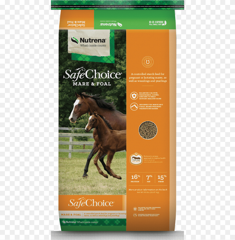 Safe Choice Horse Feed, Advertisement, Poster, Animal, Colt Horse Free Transparent Png
